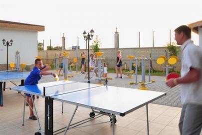 Een potje ping pong spelen met vrienden of familie